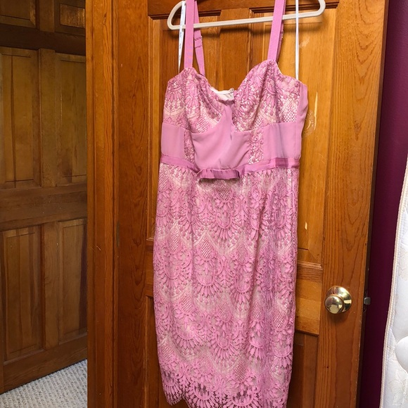 NWT Do I Make You Blush? Dress - Picture 1 of 3